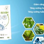 calm brain bổ não châu âu